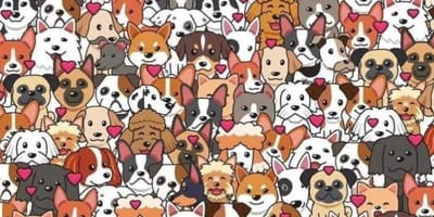 Rompecabezas: un gato entre perros