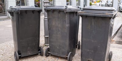 Zwei Kätzchen im Müll entsorgt