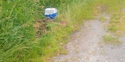Zwei übereinander gestellte Plastikkörbe im Gras