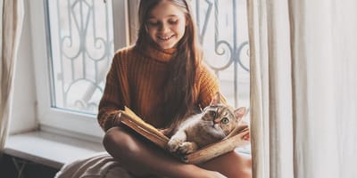 Wird Ihre Katze mit Kindern in Kontakt sein?