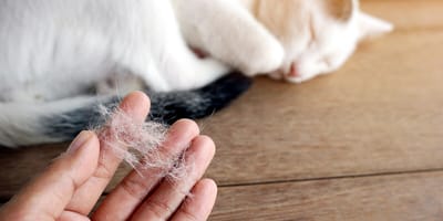 Was trifft beim Thema Haarausfall auf Sie zu?