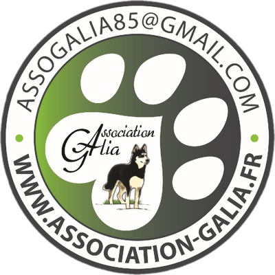 Logo de l'association Association Galia 85