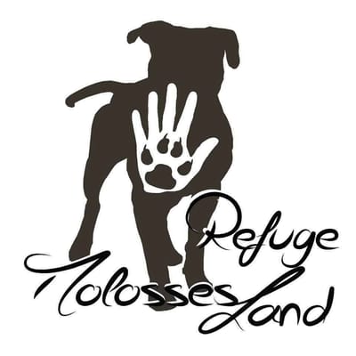 Logo de l'association Molosses Land