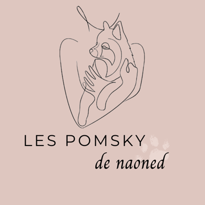 Les Pomsky de Naoned