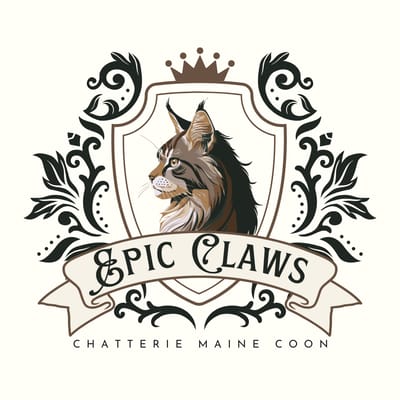 Chatterie Epic Claws