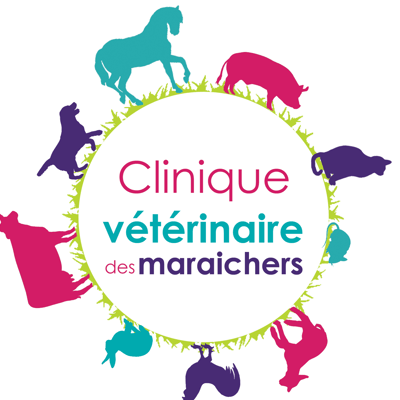 clinique vétérinaire des Maraichers