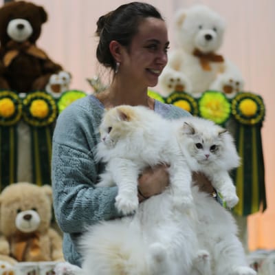 Les Ragdolls du Jardin de Gaia