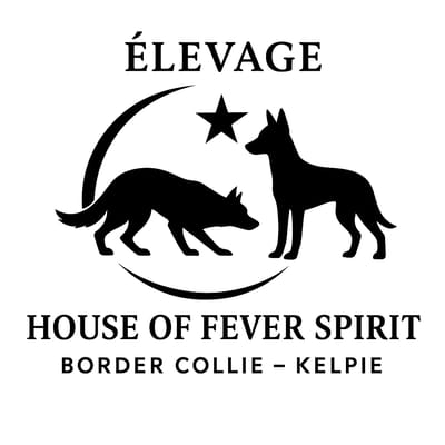House of Fever Spirit