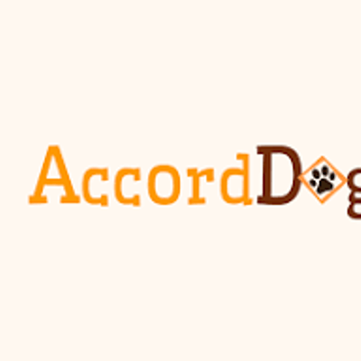 Accord Dog