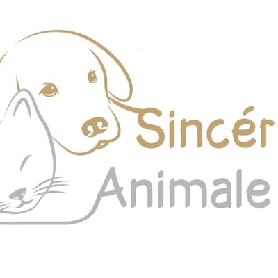 Sincérité Animale - Educatrice comportementaliste canin et félin - Pet sitting