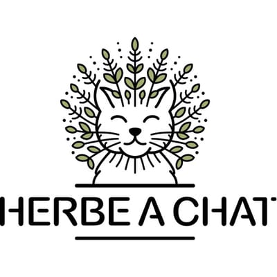Herbe à chat
