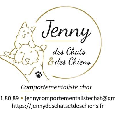 Jenny des chats et des chiens