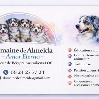 DOMAINE DE ALMEIDA AMOR ETERNO