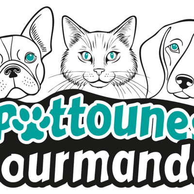 Pattounes Gourmandes