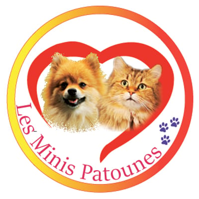 les minis patounes