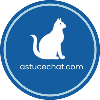 AstuceChat