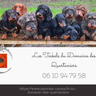 domaine des quartaniers