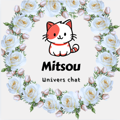 Mitsou Univers chat