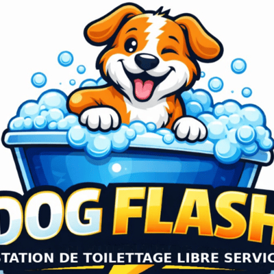 Dog FLash