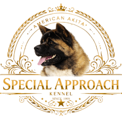 Special Approach
