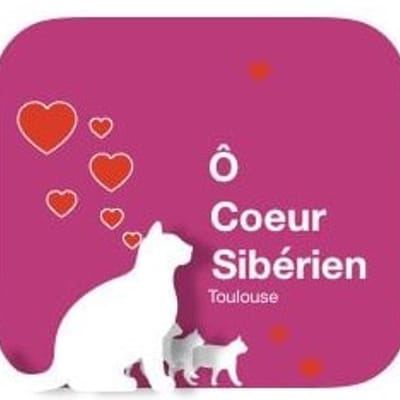 Chatterie Ô COEUR SIBERIEN
