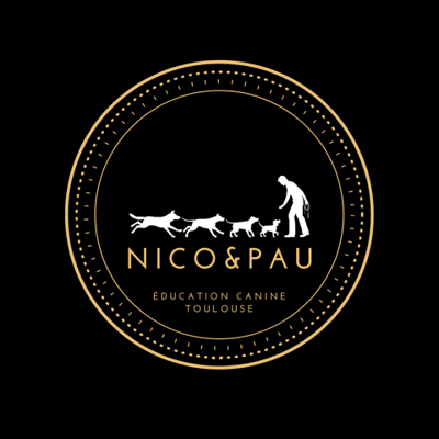 NICOandPAU EDUCATION CANINE