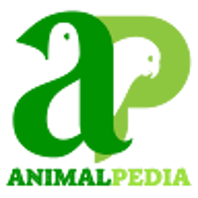 Animal-Pedia