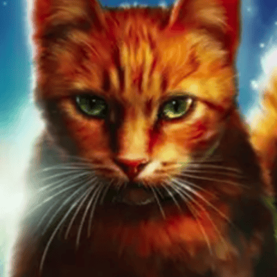 la_chatte_la_plus_mignonne