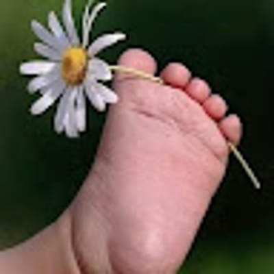 PatRose7090