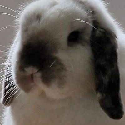 Winnyfred