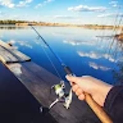 HumbleShark3109