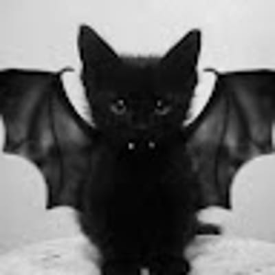 PoissonChienElegant8388