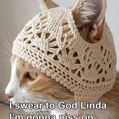 catexpert