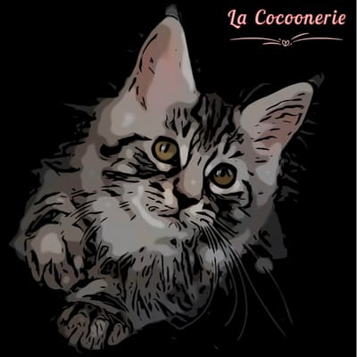 Cocoonerie51