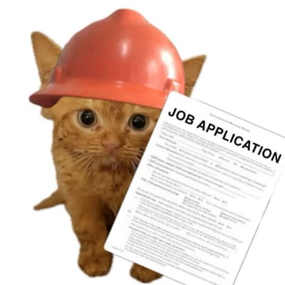 CelesteOystercatcher9320