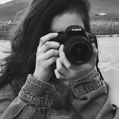 MagnificentHarrier6657