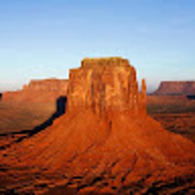 MediumHippopotamus3607