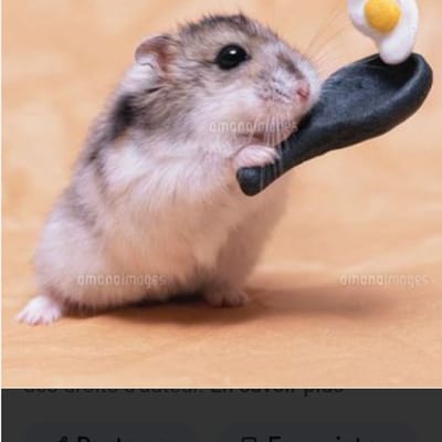 Funkyhamster