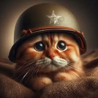 CatInHelm
