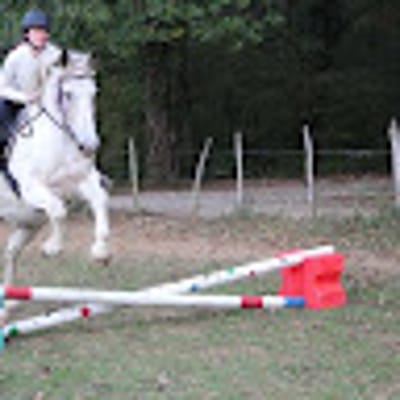 ChenilleChataigne9348