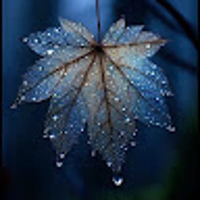 Neige63