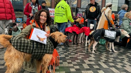 100 Spaanse jachthonden in binnenstad Utrecht als protest