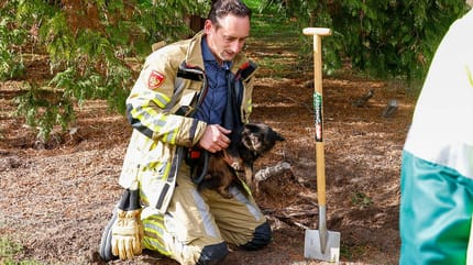 2 honden vast in konijnenhol Naarden