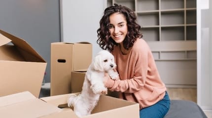 chien dans un carton avec sa maîtresse