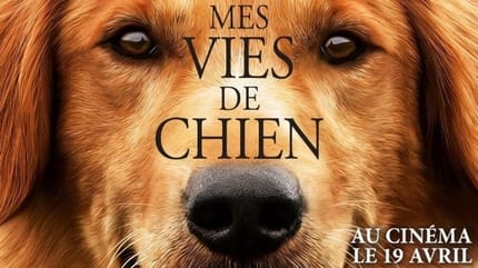 Mes vies de chien