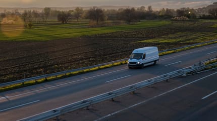 45 Hund in einem Kleintransporter entdeckt