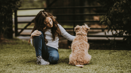 Little girl sitting next to a dog