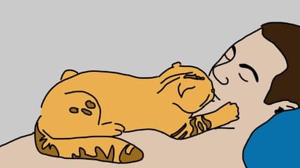 comiczeichnung katze liegt auf mann