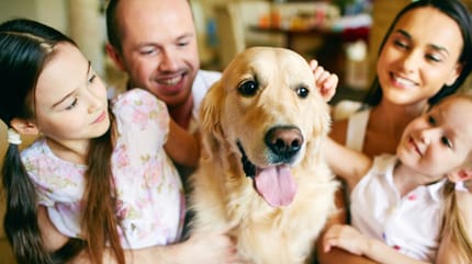 Mutter, Vater, Kinder und Hund
