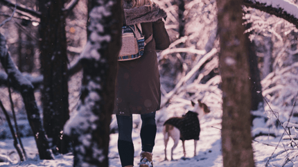 girl walking her dog in the forest in Winter